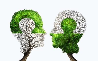 Better Connection with Your Members