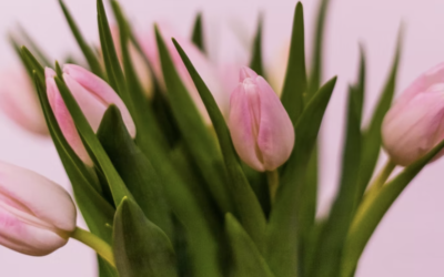 Taking advantage of International Women’s Day as a Cam Girl