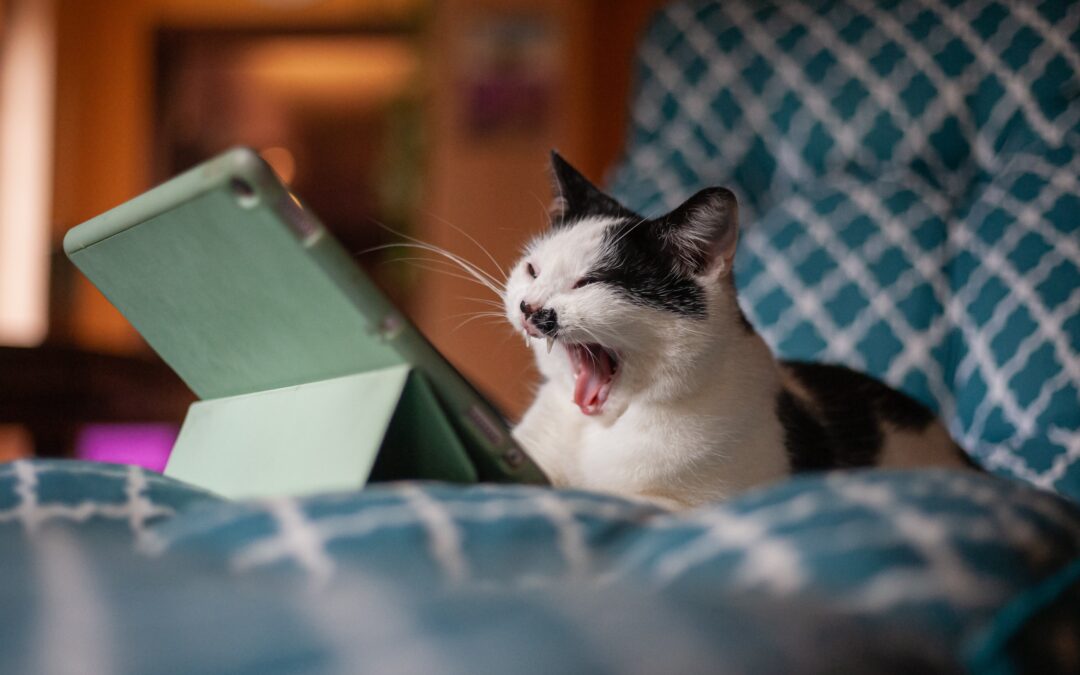 How to overcome boredom while camming