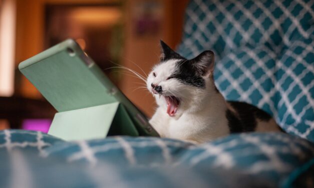 How to overcome boredom while camming