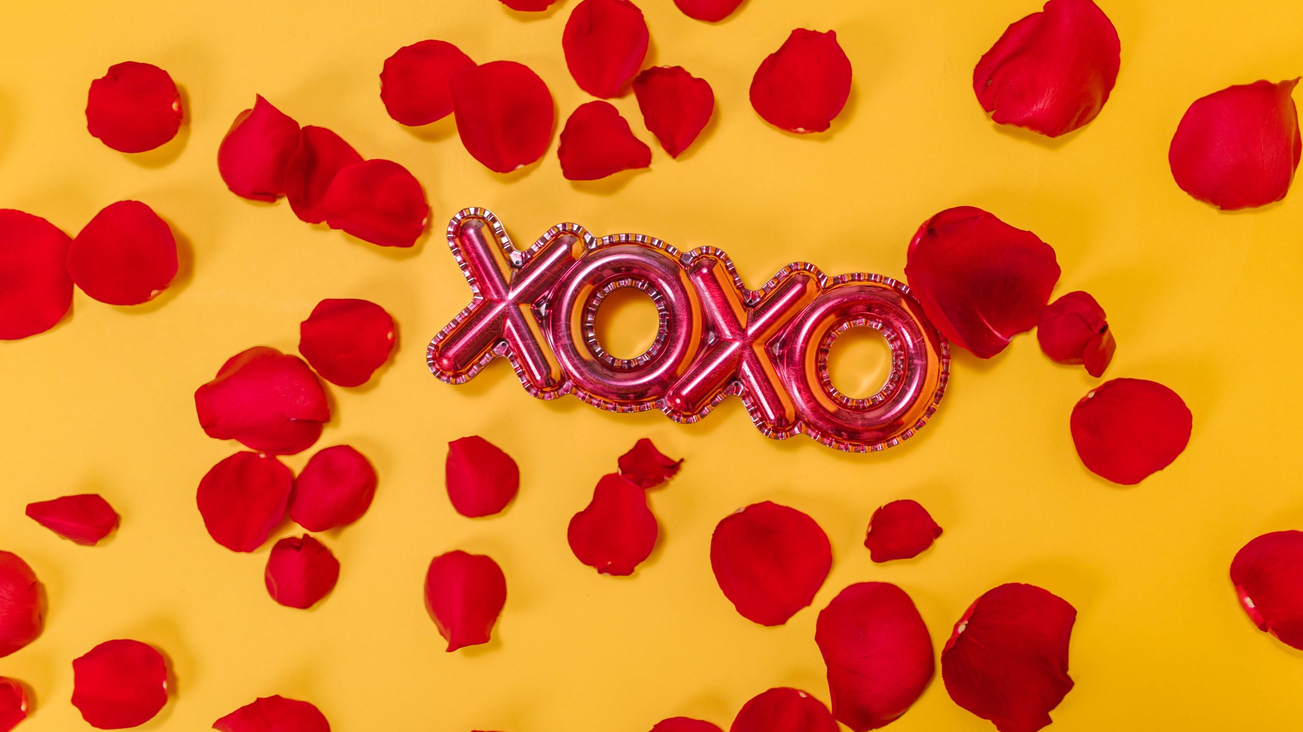 Valentines day. rose petals, xoxo, 